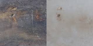 Image result