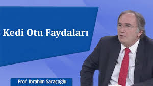 Kedi Otu Faydalari Ibrahim Saracoglu Youtube
