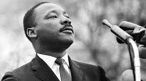 Rosalind Murphy (@murphymuse) • Instagram photos and videos