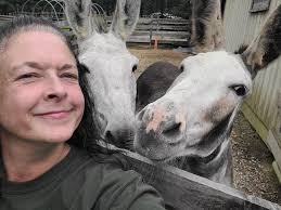 I am a retired man looking to do some volunteer work. I have minor physical  limitation. And I would prefer to do daytime.