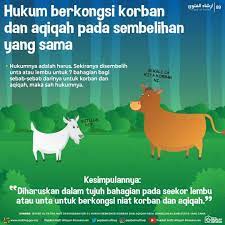 Ini kerana pada pendapat mereka, untuk. Jabatan Agama Islam Wilayah Persekutuan Jawi Hukum Berkongsi Korban Dan Aqiqah Pada Sembelihan Lembu Unta Yang Sama Rujuk Sumber Asal Https Bit Ly 2kmjod1 Album Infografik Https Bit Ly Albumi Graphf Album Infografik Edisi Haji Dan Korban