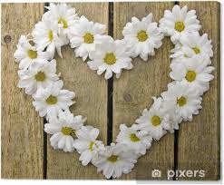 We did not find results for: Cuadro En Lienzo Saludos Cordiales Flores Margaritas Blancas En La Madera Pixers Vivimos Para Cambiar