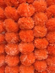 Check spelling or type a new query. Buy Decoration Craft Pack Of 5 Artificial Dark Orange Marigold Flower Garlands 5 Feet Long For Parties Indian Weddings Indian Theme Decorations Home Decoration Photo Prop Diwali Indian Festival Online In Uk B07wk9xj6g