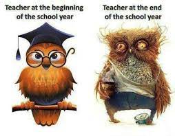 20 End Of The School Year Memes That Only Teachers Will Understand Page 5 Of 16 The Educators Room
