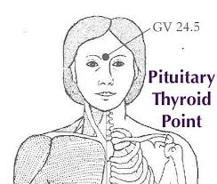 HORMONES & LONG LIFE: Point GV24.5, in the dip between your eyebrows  relieves pain & stress, heightens memory, clarity, aliveness &  spirituality. Close your eyes. Gently touch GV24.5 putting your attention on