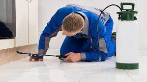 However, deerfield beach pest control there are 3 fundamental standards: Pest Control Company Deerfield Beach Fl Pestdepot Com