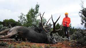 6.5 Creedmoor Is Not An Elk Cartridge - Youtube