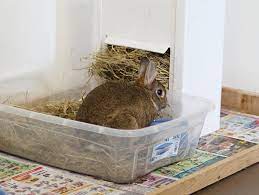 Welcome to ikea, where you will always find affordable furniture, stylish home décor and innovative modern home solutions, as well as design inspiration and unique home ideas! Litter Training Your Pet Rabbit My House Rabbit