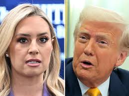 Trump Lays Into Senior Fox Reporter Jacqui Heinrich Who Dared to Speak Out