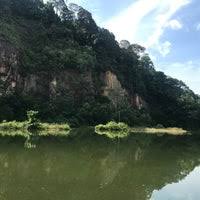 The dairy farm nature park is a magnificent nature park located in the upper bukit timah area of singapore. Photos At Dairy Farm Quarry Trail In Bukit Panjang