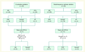 Flow Chart Demonstrating Arrhythmia Outcome Of Patients