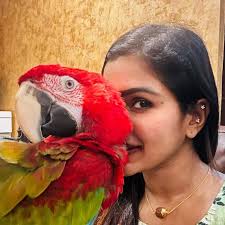 Vivek Jayaraman (@vivek.jayaraman) • Instagram photos and videos