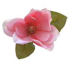 Pink Silk Magnolia Single Wedding Flower Sample Sarah S Flowers Magnolia Flower Flowers Wedding Flowers