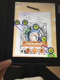 Identifying that most living things live in habitats to which they are suited; Laura Collins On Twitter Animal Cell Cell Membrane Augmented Reality