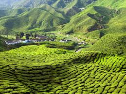 Malaysia is a country in southeast asia. 15 Beautiful Photos Of Malaysia That Will Make You Want To Visit Conde Nast Traveler