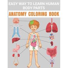 The inferior surface of the tongue (underside) is also made up of the body and apex. Easy Way To Learn Human Body Parts Anatomy Coloring Book Cool Easy To Learning Anatomy For