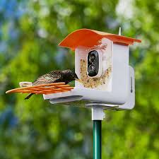Smart Bird Feeder with Camera