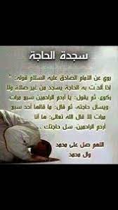 pin by lamia gamal on اقوال أهل البيت عليهم السلام islamic inspirational quotes islamic phrases islam facts