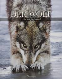 Jeddi mária / jeddi names encyclopedia; Shaun Ellis Monty Sloan Der Wolf Spirit Of The Wolf Sach Fachbucher Buchertreff De