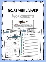 Great White Shark Facts Worksheets Habitat Information