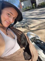 ❤HOME❤ *** FOUND DOG *** **OLD FORGE**