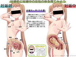 エロ 教材