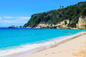 • to get this complete recipe with instructions and measurements, check out my baja fish tacos. Best Beaches In Puerto Rico To Visit Right Now Thrillist