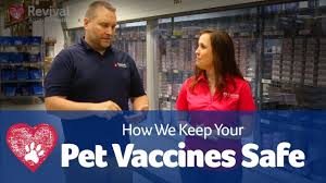How to give your puppy a 5 way vaccine at home without the stress of the vet. Nobivac Canine 1 Dappv Galaxy Da2ppv Revival Animal Health