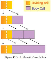Check spelling or type a new query. Characteristics Of Plant Growth
