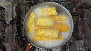 Cook with the husk on and then when complete, make a circular cut around the cob at the base. Seven Easy Ways To Cook And Serve Sweet Corn Harvest To Table