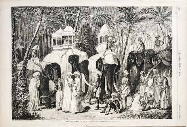 The Elephants of The Rajah of Travancore, 1858 Print - Past-India