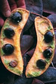 However, 'espresso' male selection and will not produce any seed pods. Kentucky Coffeetree Is A Native Of Ontario Landscape Ontario