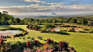 The Picturesque Maleny Botanic Gardens And Bird World Sunshine Coast Picturesque Botanical Gardens