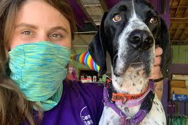 About Central Bark Oakland Park, FL