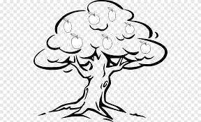 130 sketsa menggambar pohon apel gudangsket. Oak Apple Png Images Pngegg