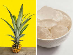 Savesave cara merawat kelinci for later. Kencing Kotor Penyebab Gejala Dan Rawatannya