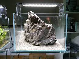 A Statement Via Ada Poland Facebook Aquascape Aquascape Design Aquascape Aquarium