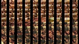 Two Lesbians teen from Haïti - XNXX.COM