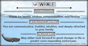 What Does A Whale Symbolize As A Spirit Animal Totem Animal What Does It Mean When You Dream Of A Whale Whale Meaning Spirit Animal Meaning Whale Symbolism