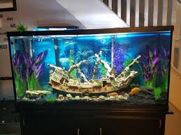 We'll help you set the stage with decorative rocks and stones and gorgeous backgrounds to finish your aquarium scenery. Pirate Themed Aquarium Decorations Www Macj Com Br