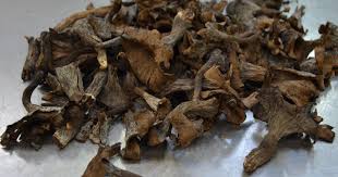 Nous partageons ces informations avec nos partenaires sur la base du consentement et de l'intérêt légitime. Trompettes De La Mort Fraiches 1 Kg Pourdebon