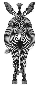Zebra Zebra Art Animal Art Art