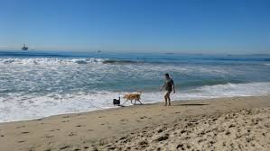 For a small donation, you may acquire a portable doggy water/food bowl from dog beach. Huntington Dog Beach In Huntington Beach California Kid Friendly Attractions Trekaroo