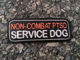 Pin On Training Service Dogs