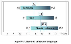 Il se mesure à partir du pubis où il s'attache, et non à. La Puberte Normale 13 Cm De Difference Entre Fille Et Garcon Pediatre Online