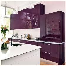 Do you find the purple color really inspiring? Pin By Ana Maria Neves On The Influence Of Purple Modern Kitchen Colours Purple Kitchen Cabinets Purple Kitchen