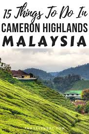 (0.37 mi) kea garden mini chalet. 15 Things To Do In Cameron Highlands For A Cool Getaway In Malaysia