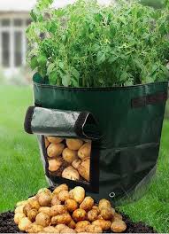 Conveniently Harvest 7 Gallons Of Potatoes With This Potato Grow Bag From Amazon Small Vegetable Gardens Container Gardening Vegetables Vegetable Garden Design