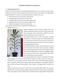 Bunga tumbuhan monokotil umumnya memiliki kelopak dengan jumlah 3 atau tumbuhan monokotil dan dikotil. Tanaman Monokotil Dan Dikotil