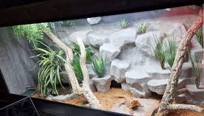 Image result for Terrarium Cling Background